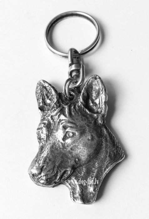 basenji31 copy